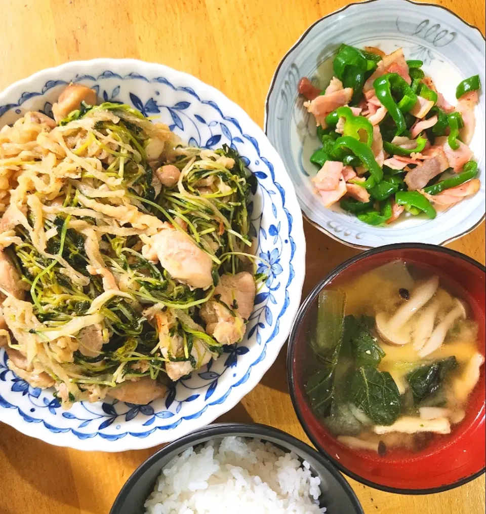 鶏肉と豆苗の塩にんにく炒め、小松菜としめじと油揚げの味噌汁|さきさん