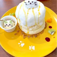 ココミイル 季節のスフレパンケーキ|菜摘さん