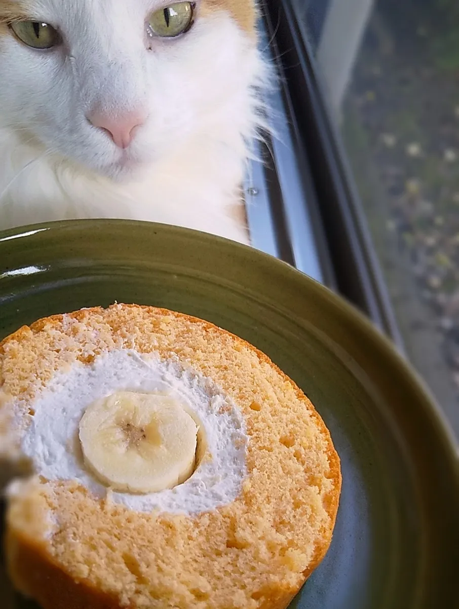 米粉のバナナロールケーキを
つくりました♪|さくらんぼさん