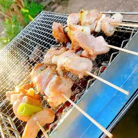 Snapdishの料理写真:庭焼き鳥😋|matsukawaさん