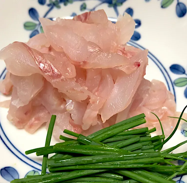 釣り肴料理 アコウの刺身|🐈⸒⸒⸒⸒つるのダンス🐈🐾さん