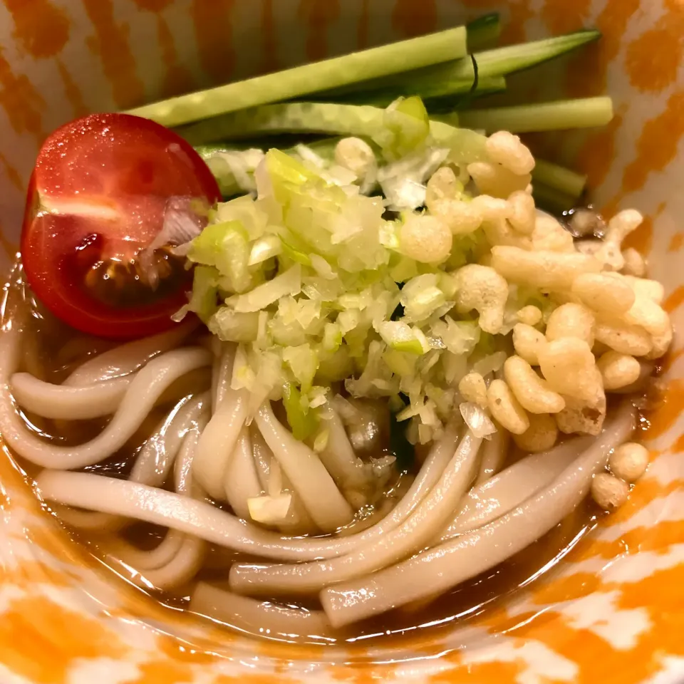 Snapdishの料理写真:つけうどん(鶏ガラ煮干つゆ　醤油)|ユキちゃんさん