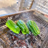 丸ごとピーマン焼き🫑　ヘタもタネも取らずこの食べ方がピーマン好きにはたまらない😋|ヒロさんさん