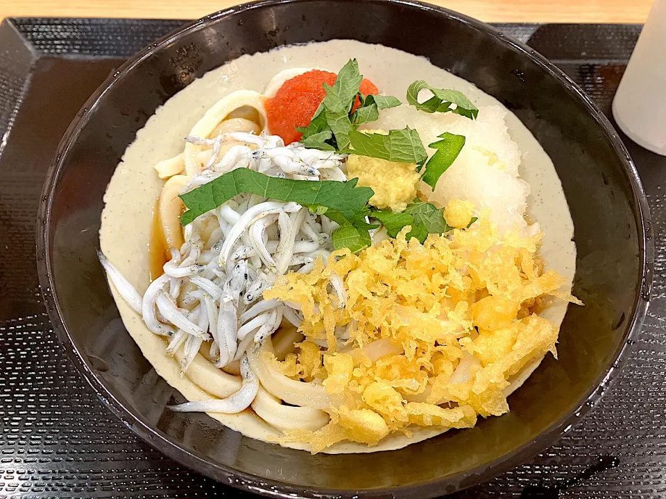 Snapdishの料理写真:明太しらすおろしうどん|しのぶさん