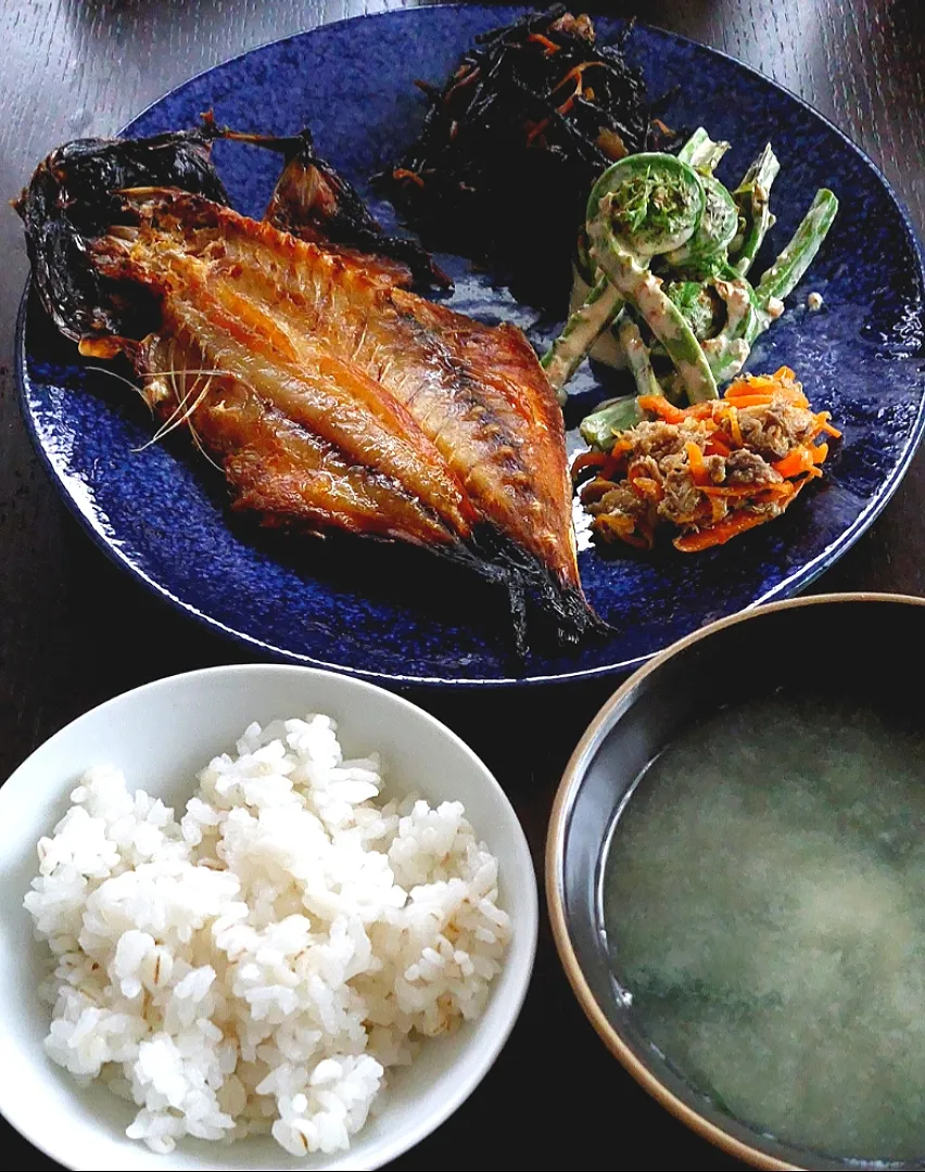 あじの干物
ひじきの煮物
こごみのオカカマヨ醤油
鯖人参
押麦ごはん
わかめのお味噌汁|きつねさん