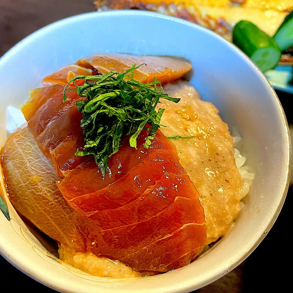 Snapdishの料理写真:漬けマグロとろろ丼|DKさん