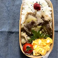 お弁当🍱|mana shiosatoさん