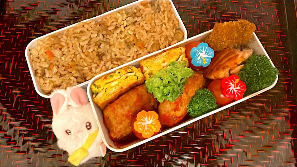 Snapdishの料理写真:ハンバーグとシャケのお弁当🍱✨|るりさん