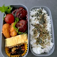 Snapdishの料理写真:肉団子弁当|hinomizさん