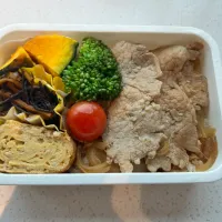 2024/5/8 お弁当|なさん