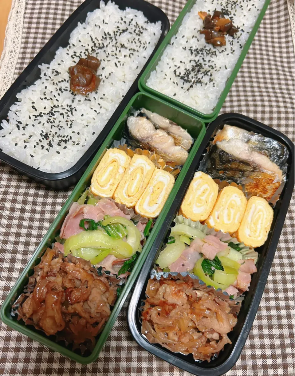 今日のお弁当 2024.5.9(Thu)|*seiko*さん