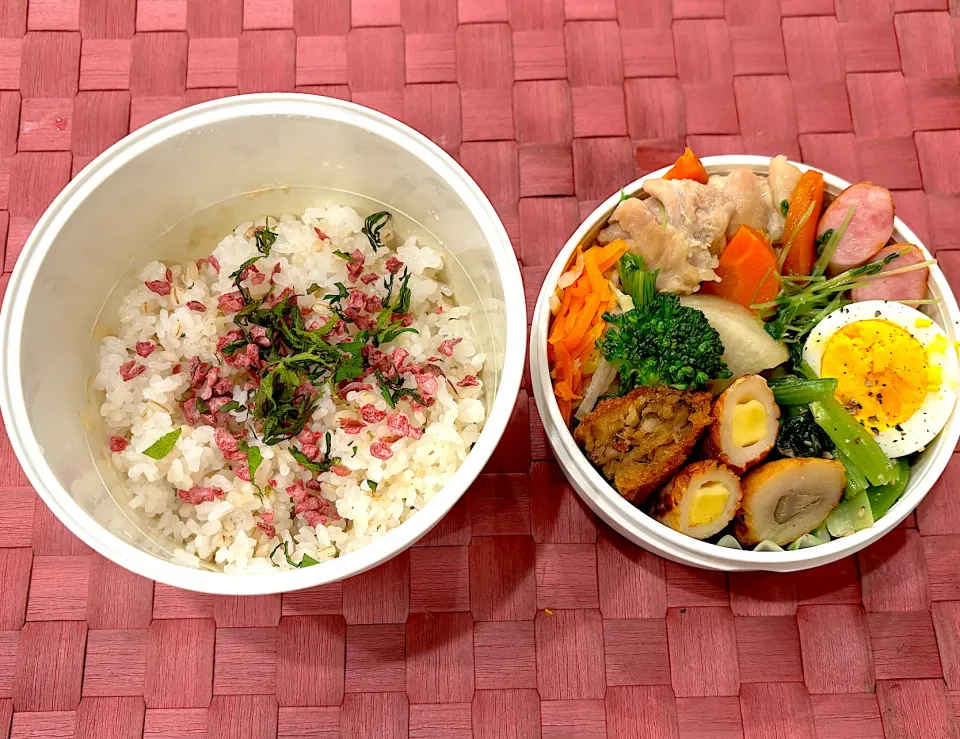 中学生息子のお弁当🍱 鶏肉と根菜の煮物とうめこご飯弁当🍱|Snow10さん