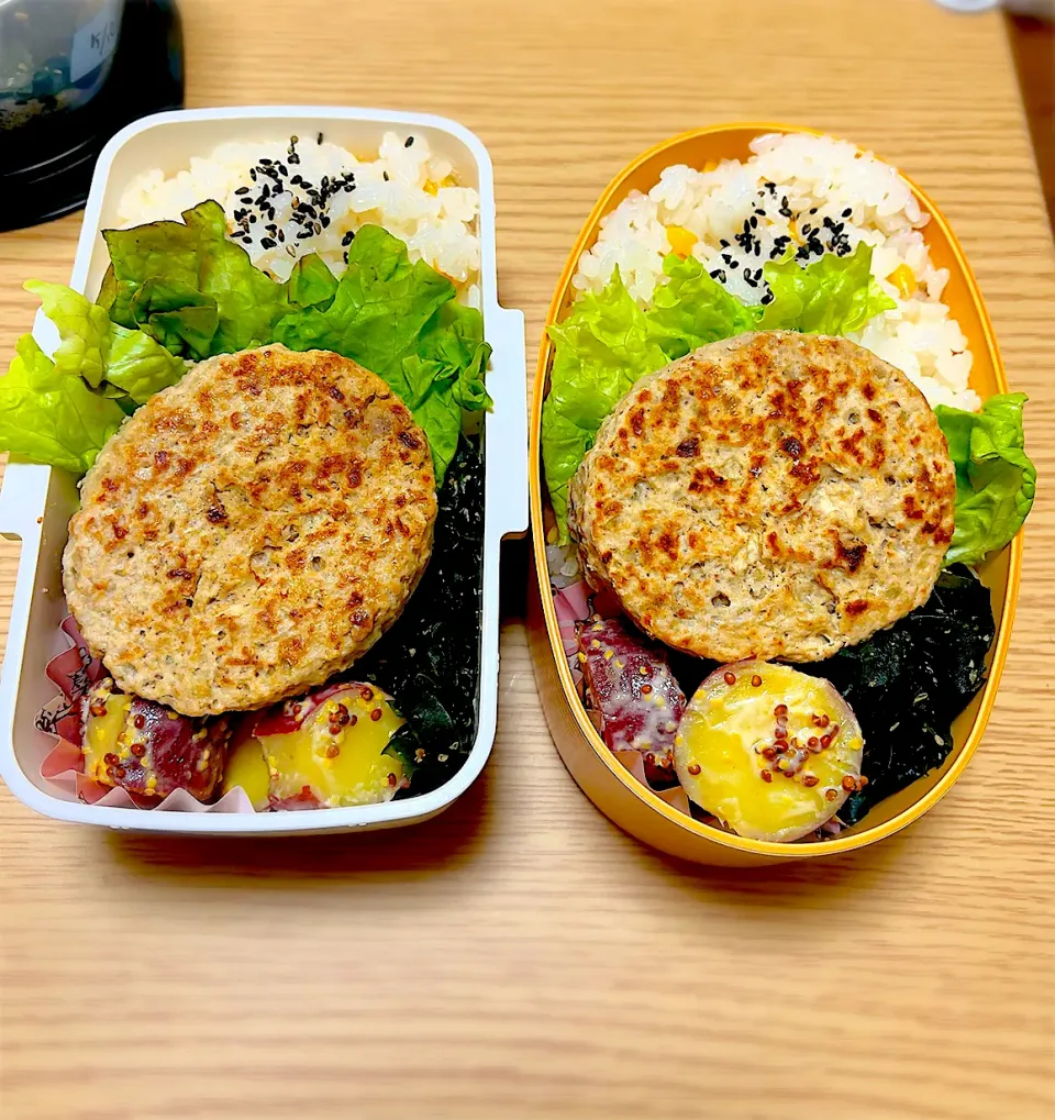 Snapdishの料理写真:2024.5.10  お弁当|もっさんさん