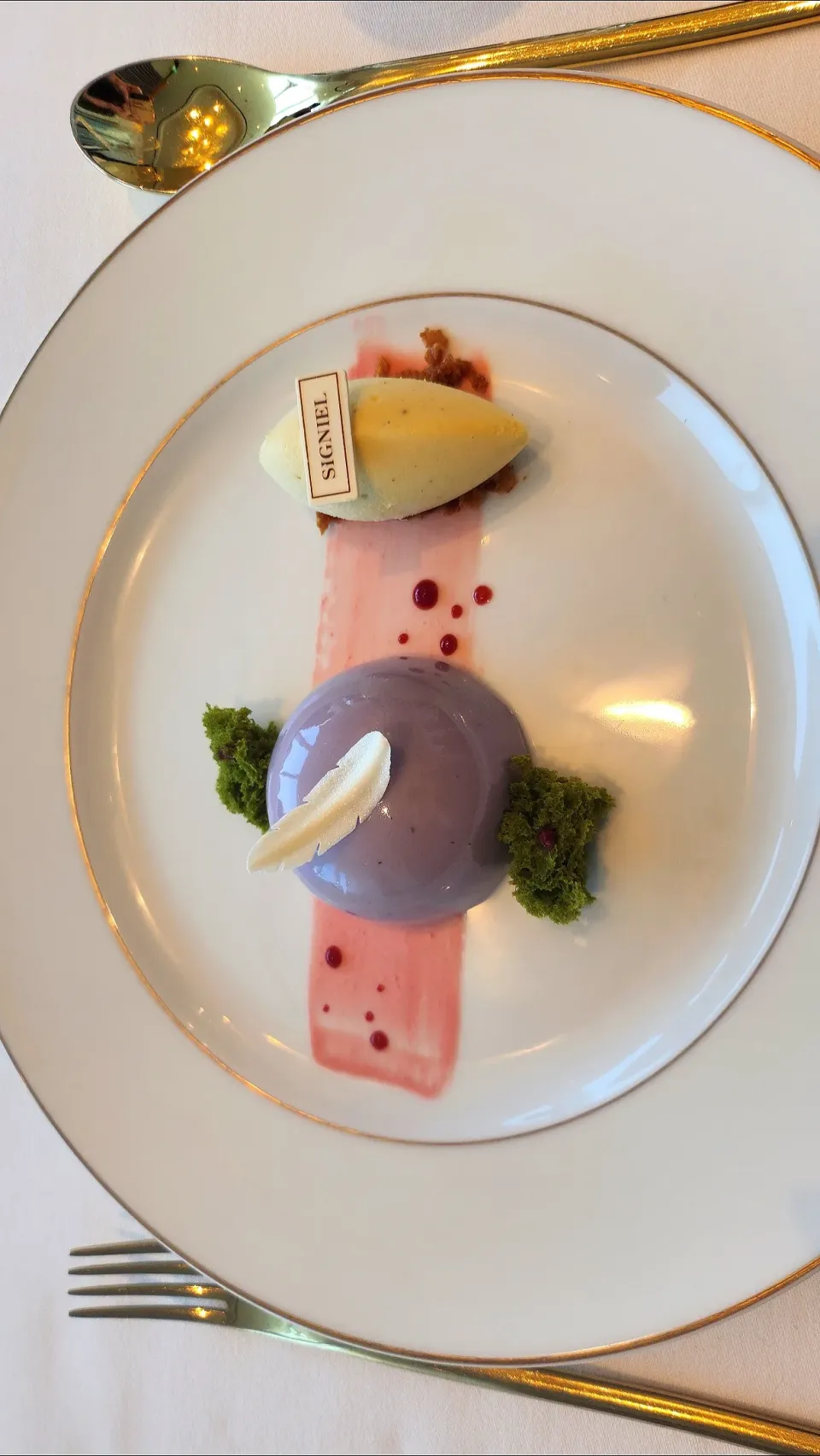 blueberry jasmin ganache, raspberry champagne coulis, malcha microwave sponge, melba sauce, vanilla rice ice cream, hazelnut feuilletee|Ninaさん