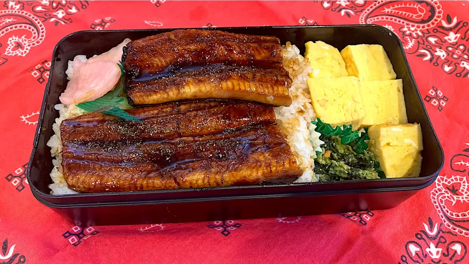 Snapdishの料理写真:5/11 昨夜12時に『明日お弁当！』と言いだしたのでパルシステムの国産鰻を入れるしかなかった(￣∇￣)  息子よ、今日のあなたのお弁当は高級なので味わってきてくれ！|アブドゥルさん