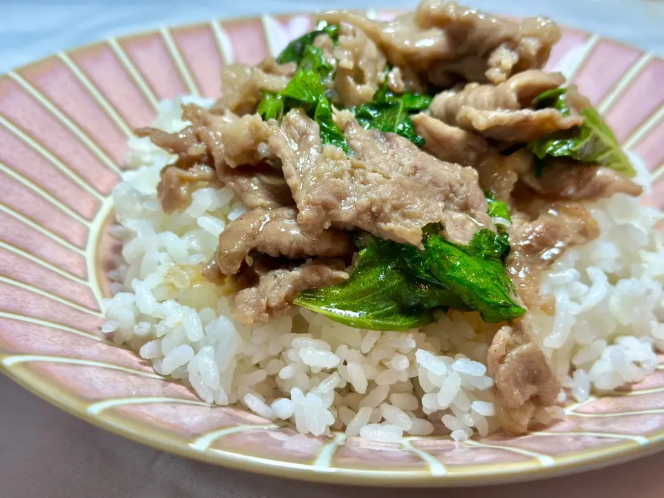 豚肉のエスニック丼🐷|HALさん