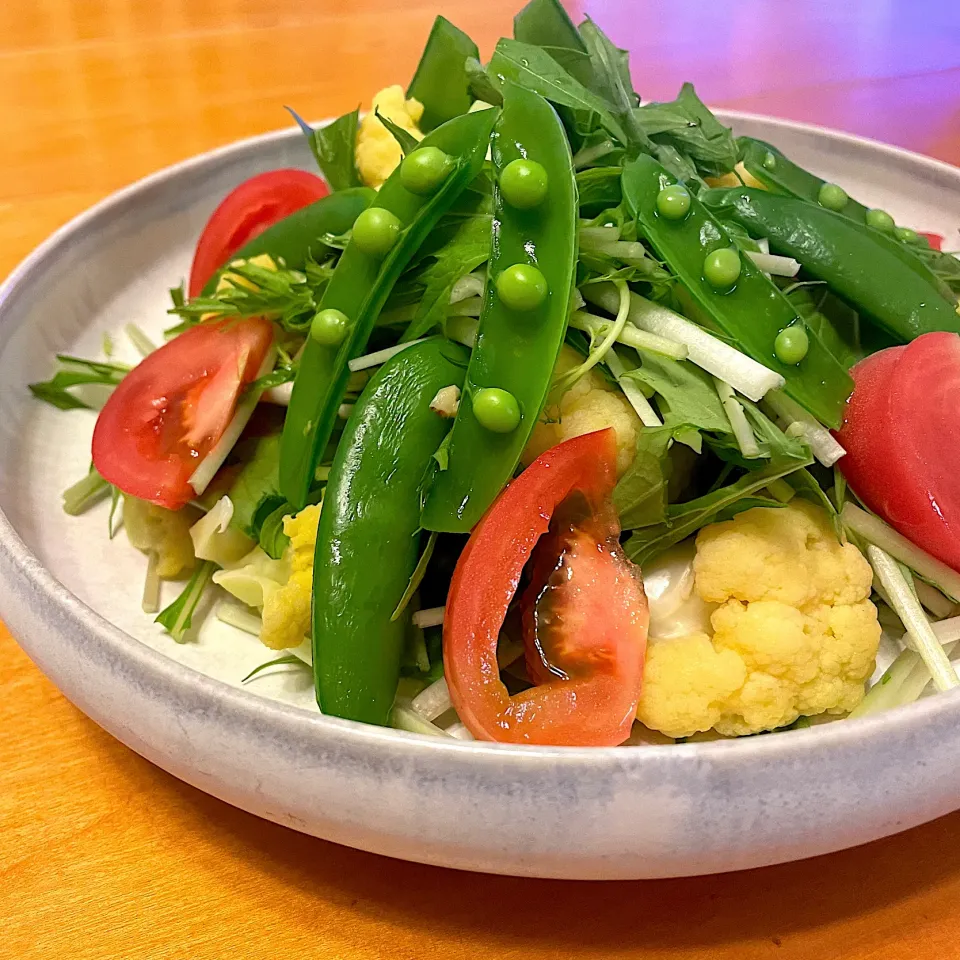 アルモンデサラダ🥗|りさこさん