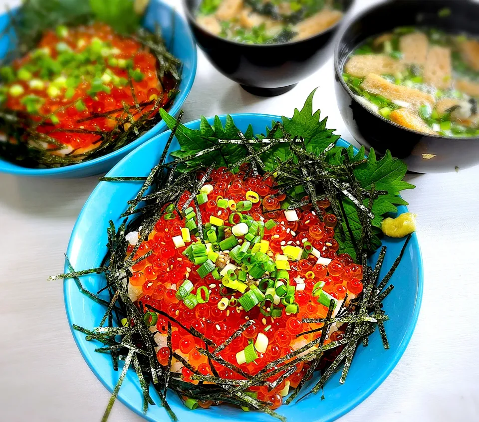 北海道のいくら丼！！|shioshioさん