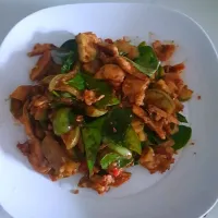 Snapdishの料理写真:stir fry spicy chicken with red chili paste🍗🌶|patlovestocookさん