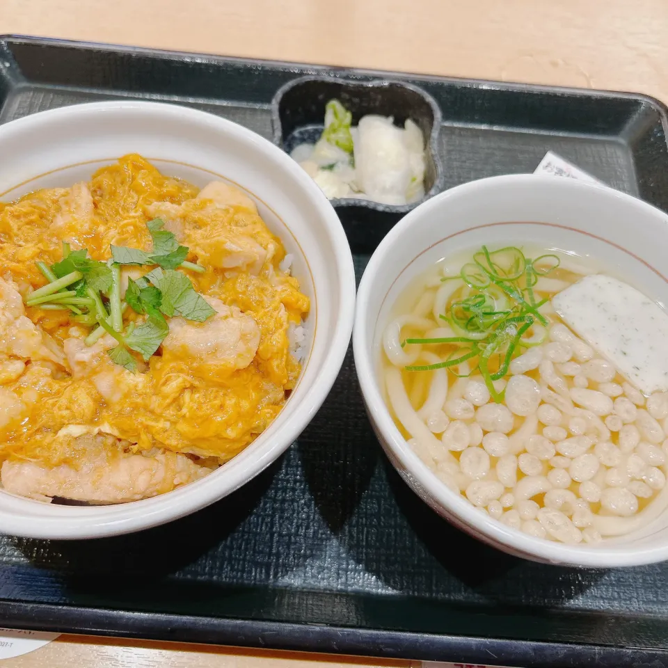 晩ご飯|まめさん