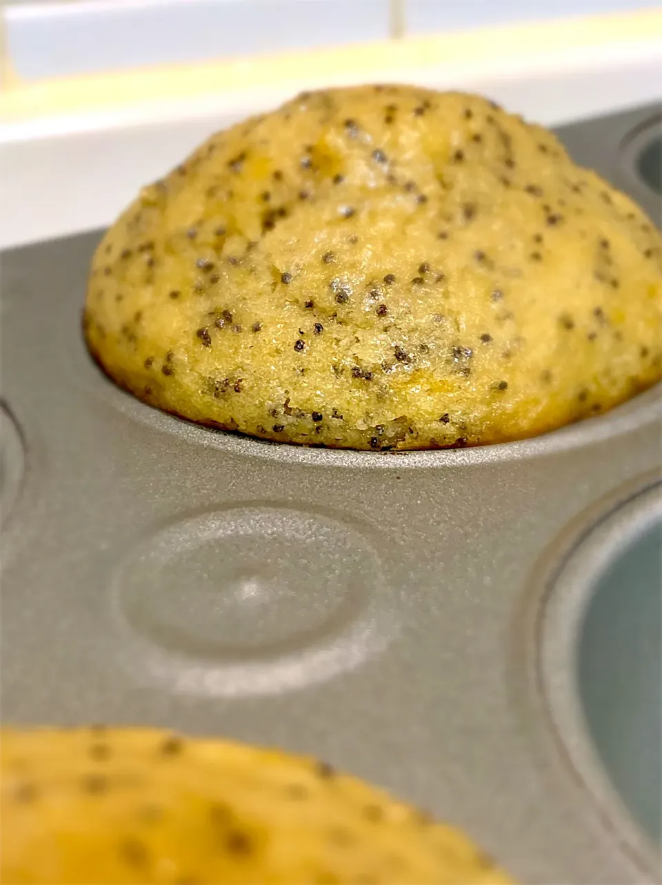 Lemon Poppy Seed Muffins|gonbenさん