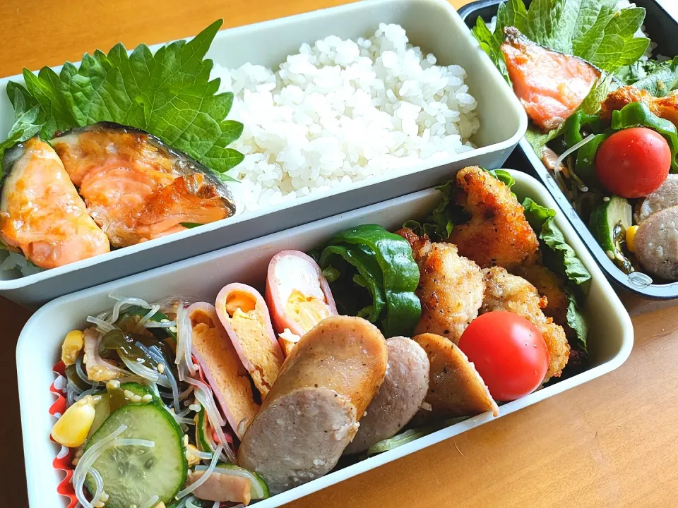 Snapdishの料理写真:次男・私弁当|tamagomagomagoさん