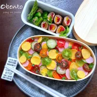 サラダちらし弁当🥗🍱