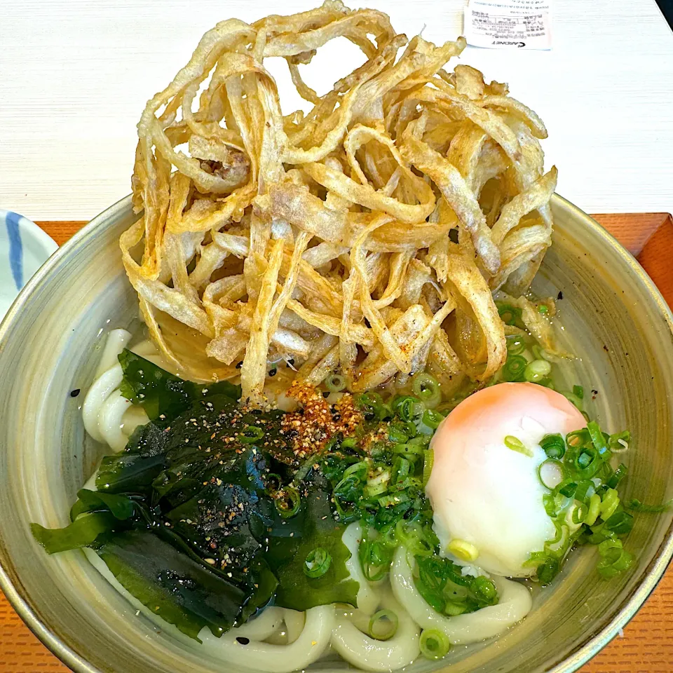 ごぼう天うどん|流線形さん