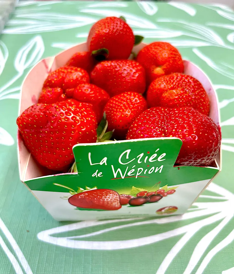 Fraises de Wépion|Generaalさん