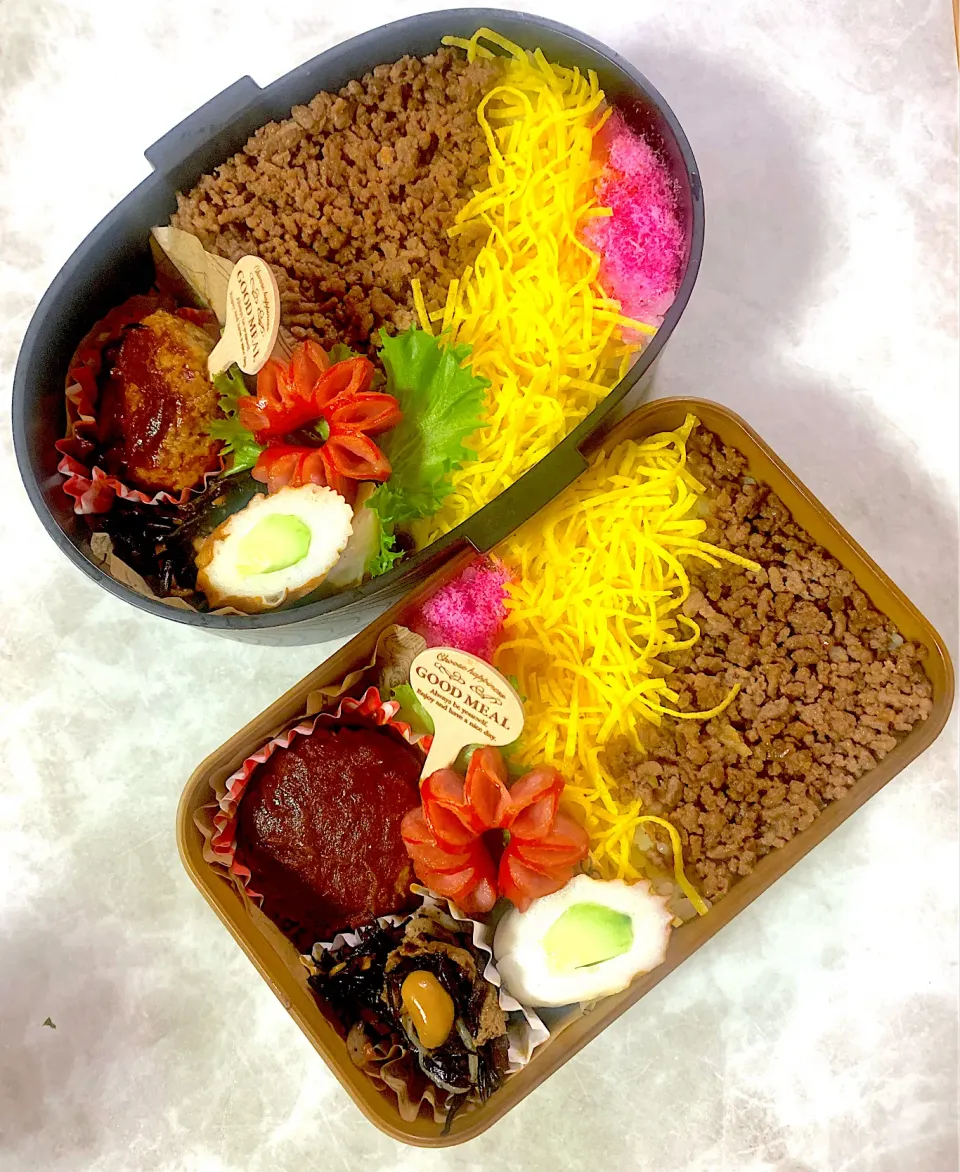 5/9そぼろ弁当|honamiさん