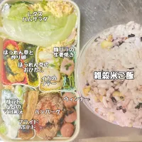 Snapdishの料理写真:今日のお弁当|wakamuさん