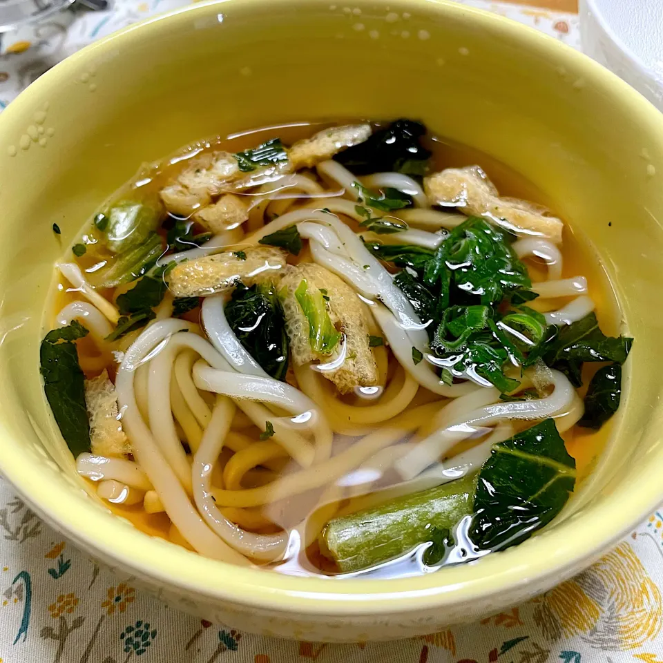 電子レンジでうどん|こいちさん