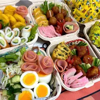 ピクニック弁当|n.kikuchiさん