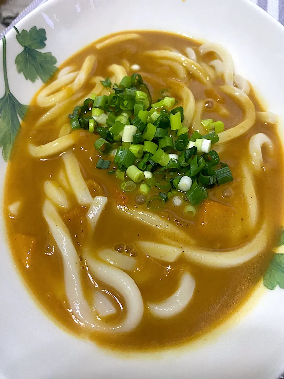 何の変哲もない単なるカレーうどん|単身赴任のっちさん