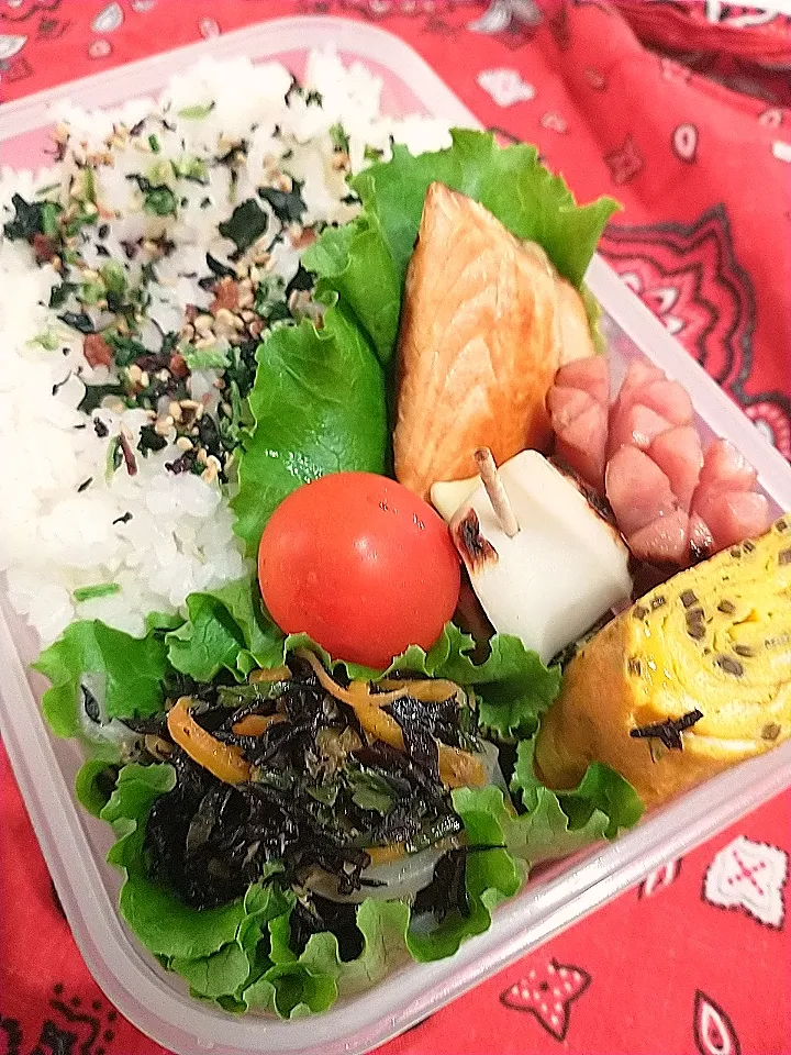 ひじき煮鮭弁当|yayoi.Kさん