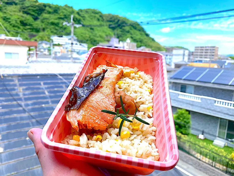 Snapdishの料理写真:鮭弁〜初めて作ったどーとうもろこしの炊き込みごはんと梅干し🌽|shikaさん