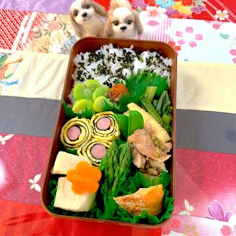 5月17日　プクパパお弁当🍱