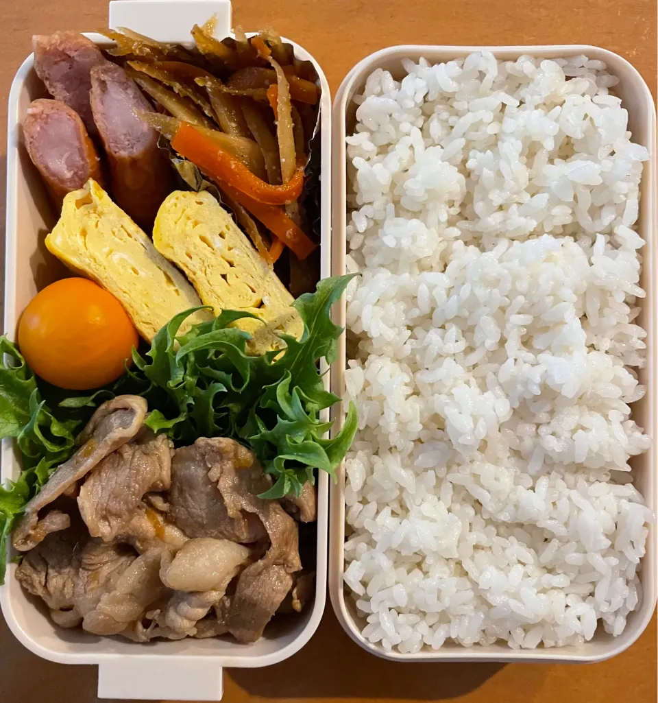 Snapdishの料理写真:2024.5.17 次男お弁当|いじゅさん