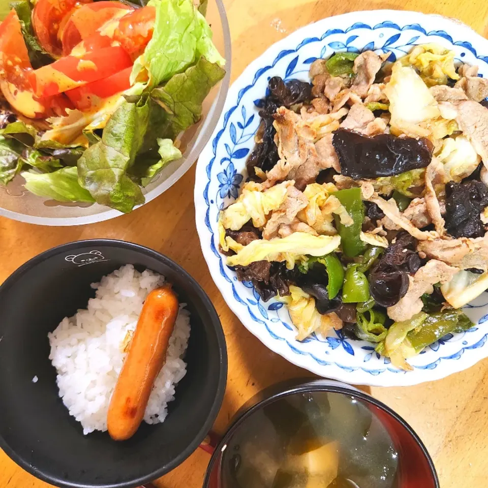 豚肉ときくらげとピーマンとキャベツの中華炒め、レタスとトマトのサラダ、豆腐とわかめの味噌汁|さきさん