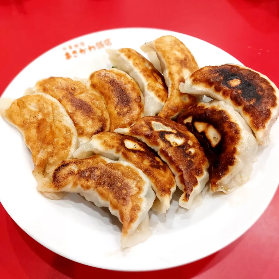 餃子ー！🥟|きつねさん