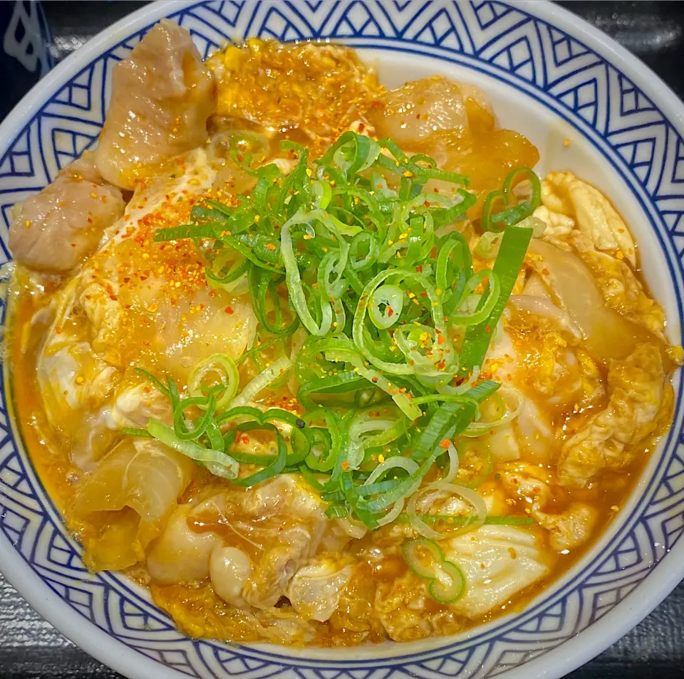 吉野家の親子丼 547円|すくらんぶるえっぐさん