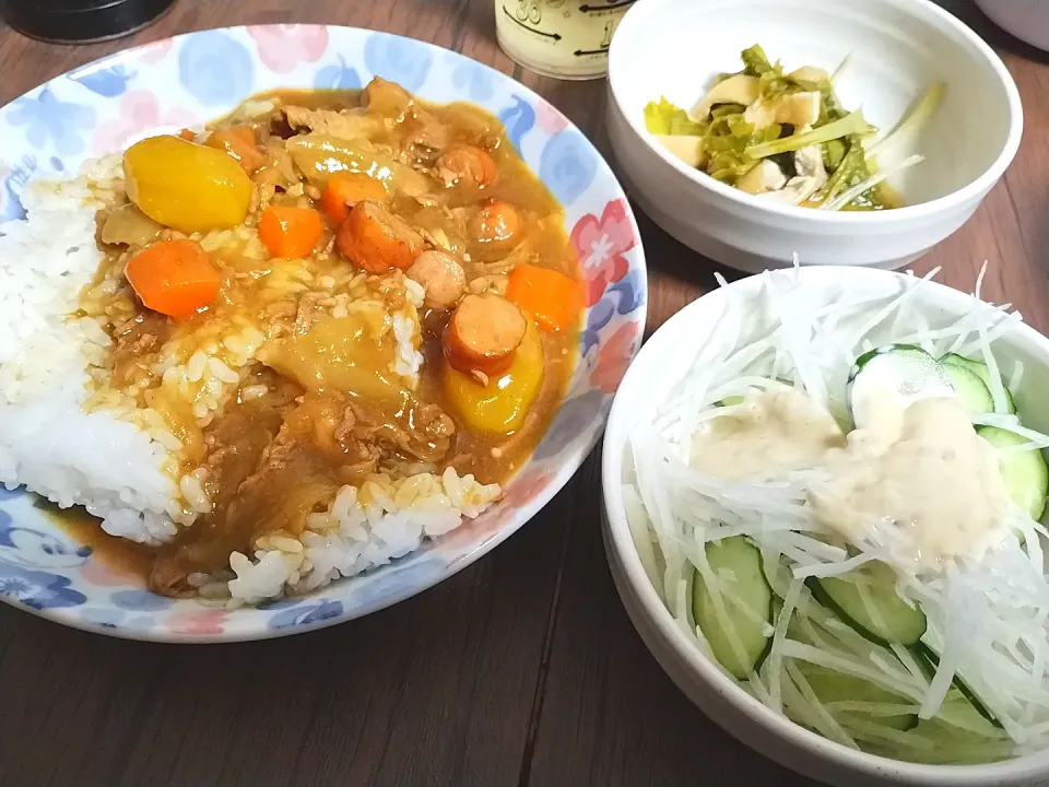 カレー
大根サラダ
煮浸し　残り|尚さん