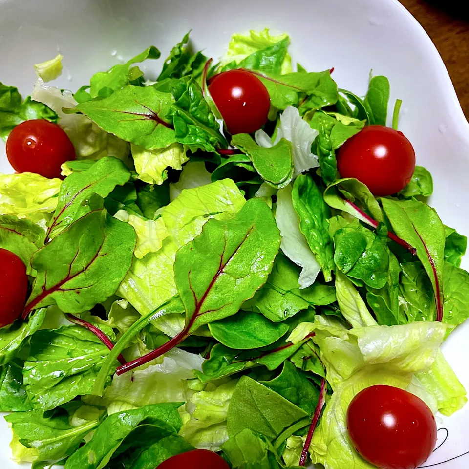 自家製ベビーリーフ入りサラダ🥗|ひだまり農園さん