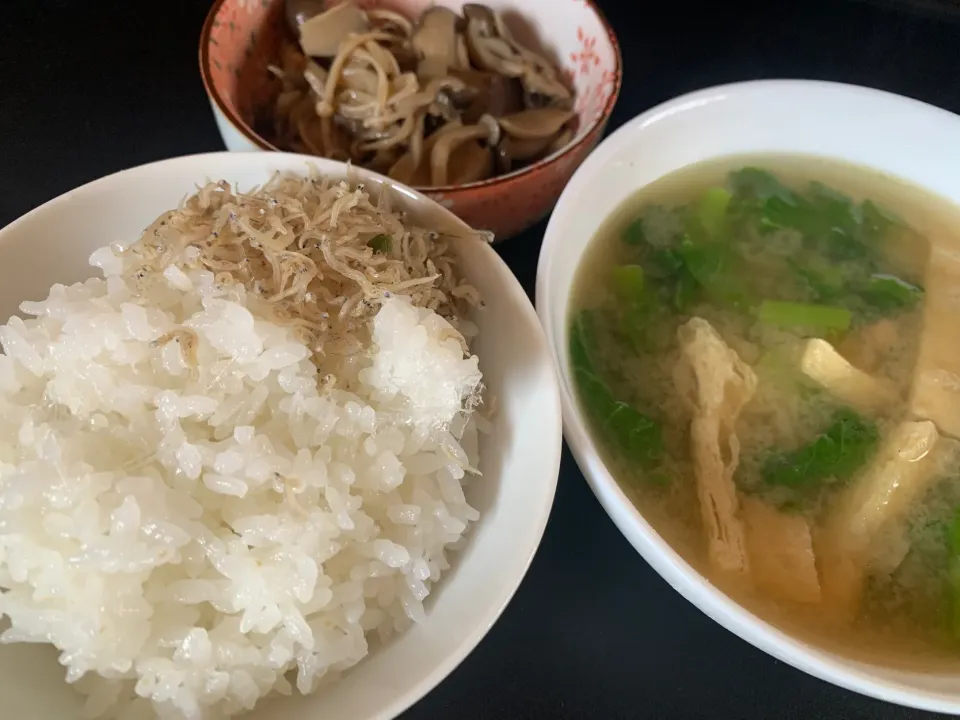 Snapdishの料理写真:きのこ煮、菜の花と油揚げの味噌汁、八代目儀兵衛のご飯|そらまめさん