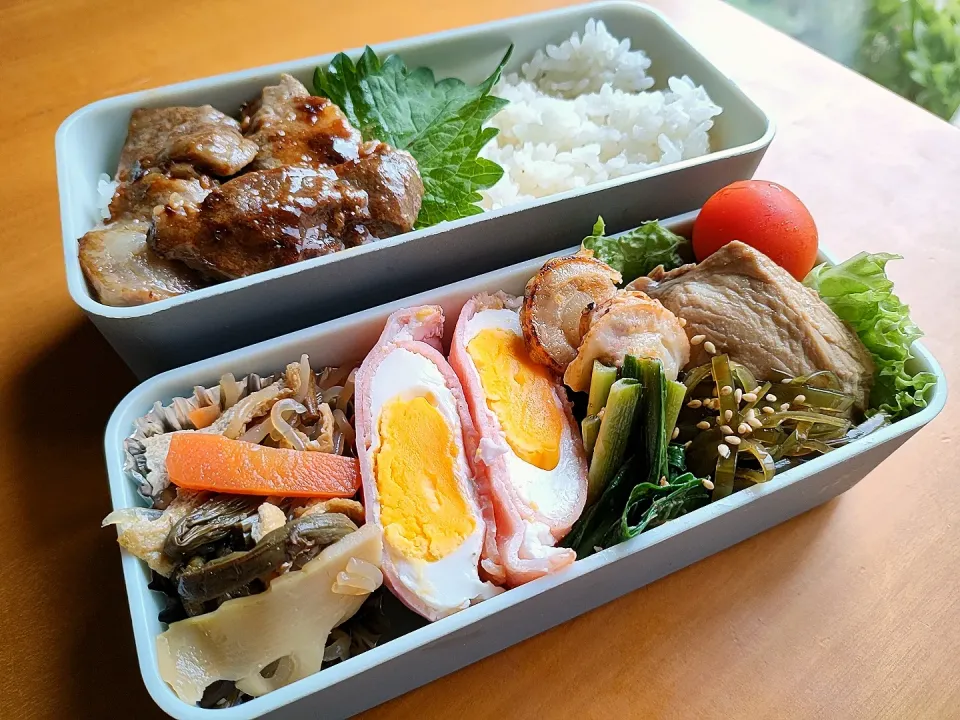 Snapdishの料理写真:次男弁当|tamagomagomagoさん