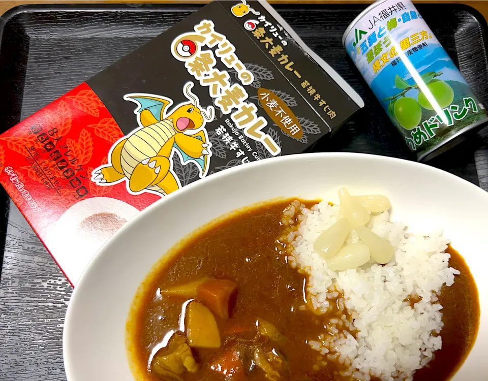 【福井・カイリューの六条大麦カレー＆うめドリンク】|Tak@さん