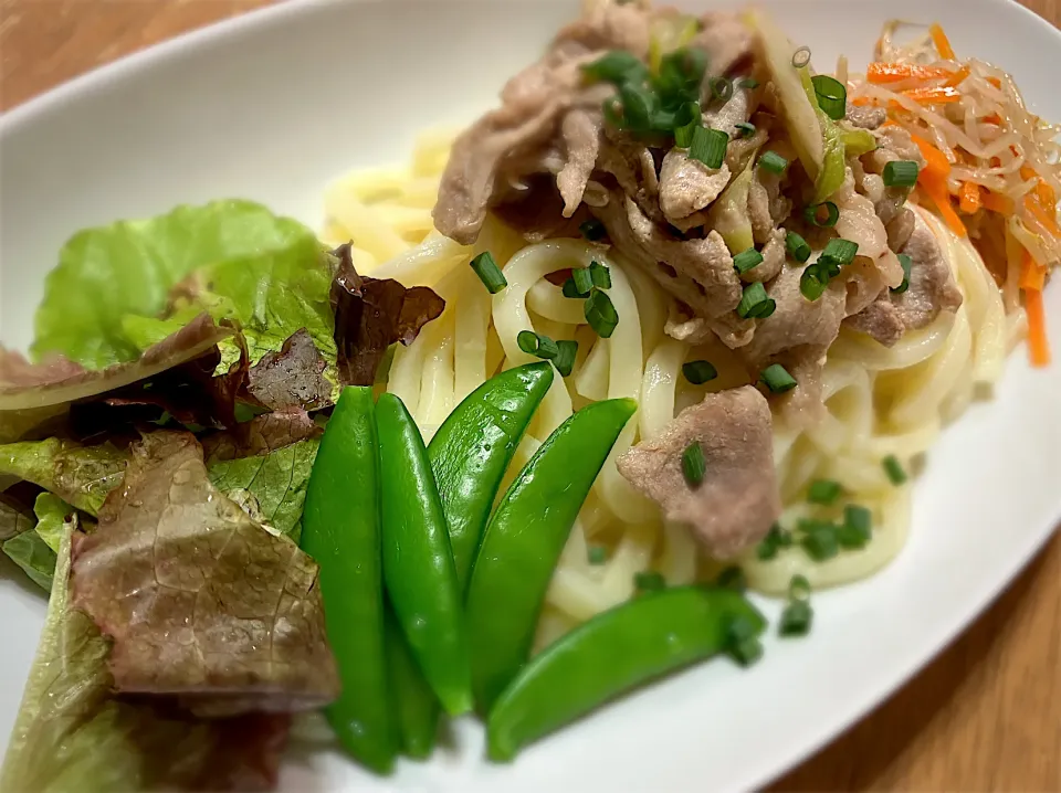 いろいろ乗せたサラダうどん🥗|たぁはいさん