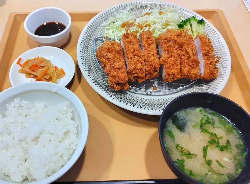 Snapdishの料理写真:2024 0519　ヒレカツ定食|いもこ。さん