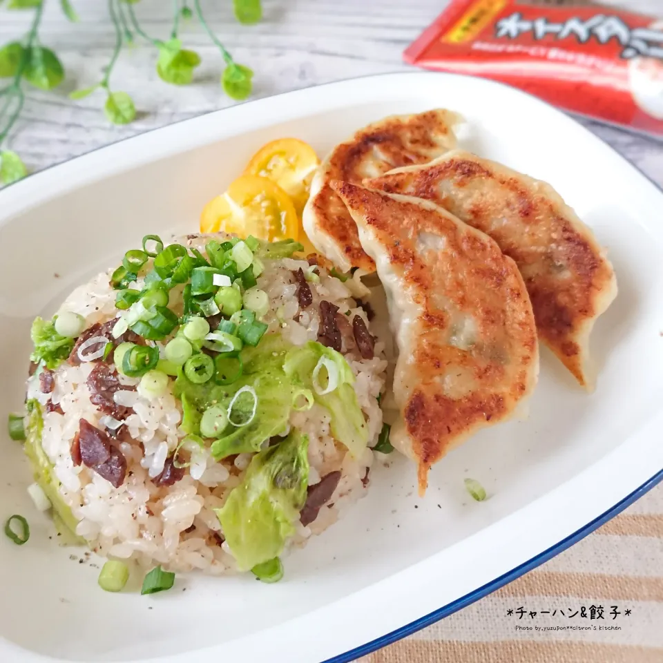 お昼ごはんはチャー餃で。|ゆずぽんさん