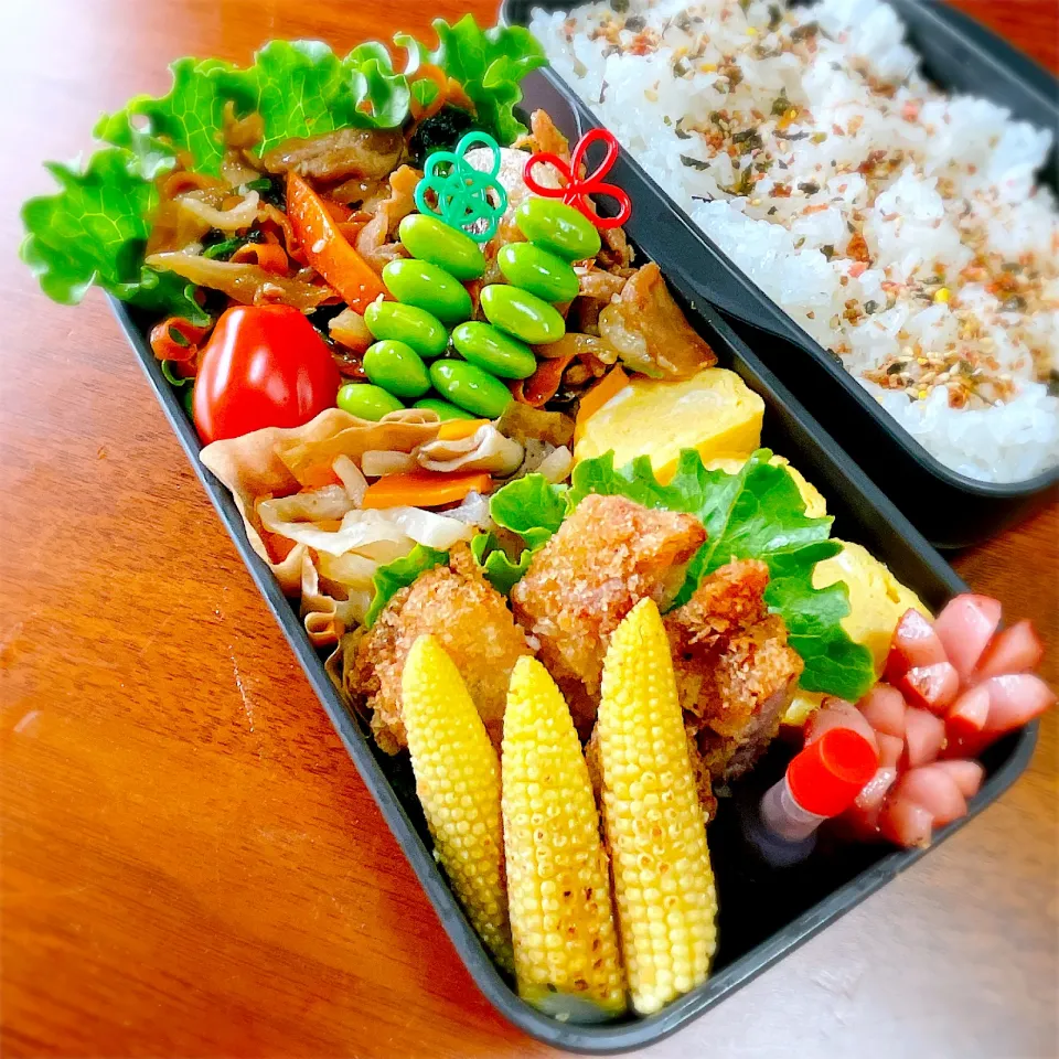 Snapdishの料理写真:お弁当|teritamagoさん